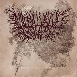 Lethal Transcendence